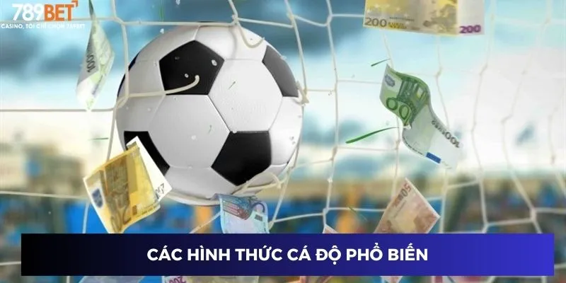 Các hình thức cá độ phổ biến