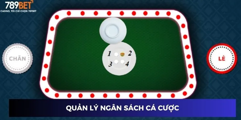 Quản lý ngân sách cá cược