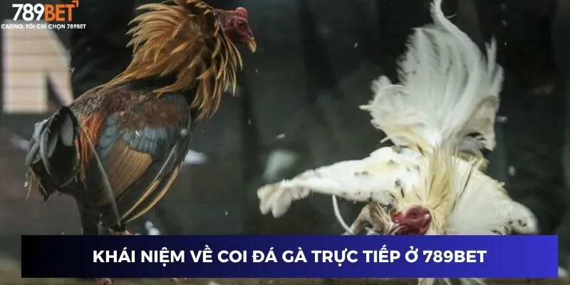 Khái niệm về coi đá gà trực tiếp ở 789BET