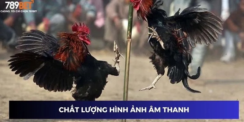 Chất lượng hình ảnh âm thanh