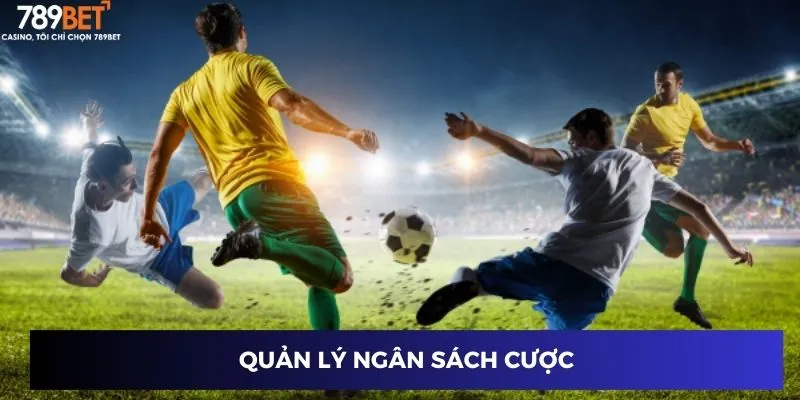 Quản lý ngân sách cược